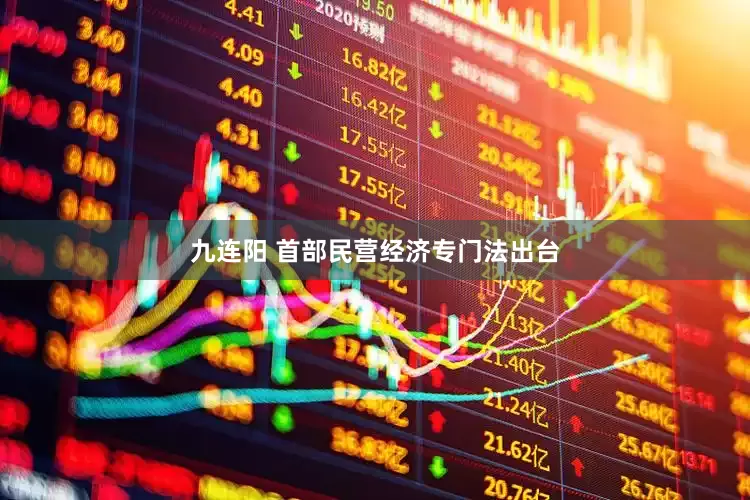 九连阳 首部民营经济专门法出台