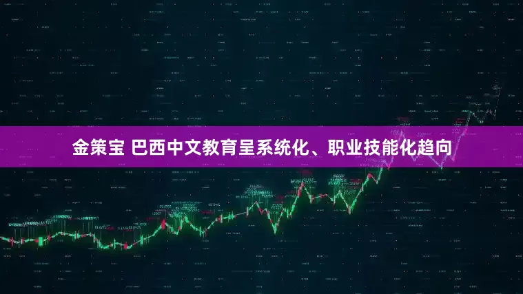 金策宝 巴西中文教育呈系统化、职业技能化趋向