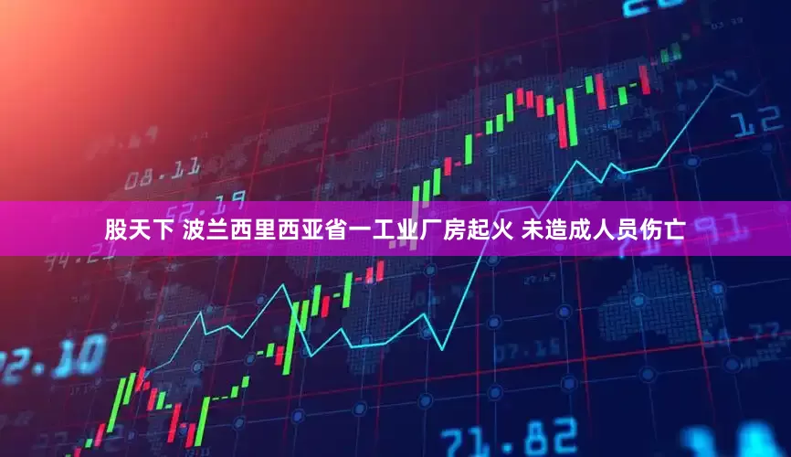 股天下 波兰西里西亚省一工业厂房起火 未造成人员伤亡