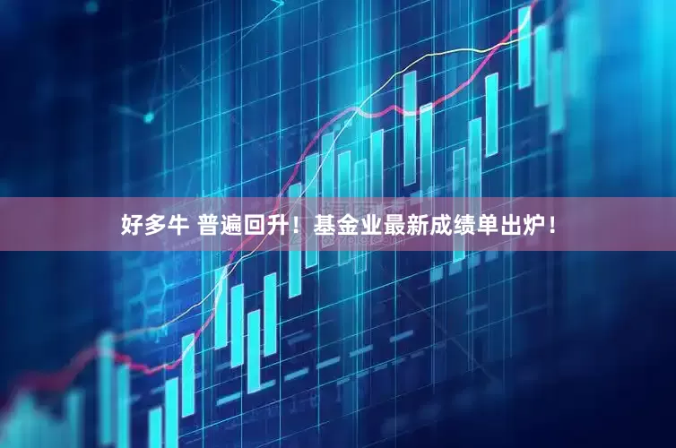 好多牛 普遍回升！基金业最新成绩单出炉！