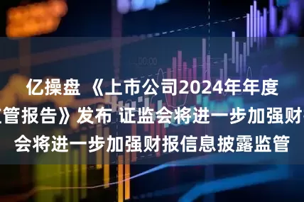 亿操盘 《上市公司2024年年度财务报告会计监管报告》发布 证监会将进一步加强财报信息披露监管