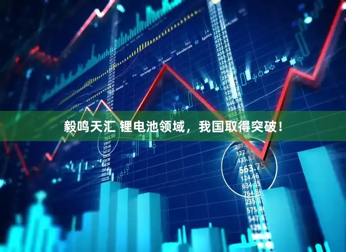 毅鸣天汇 锂电池领域，我国取得突破！