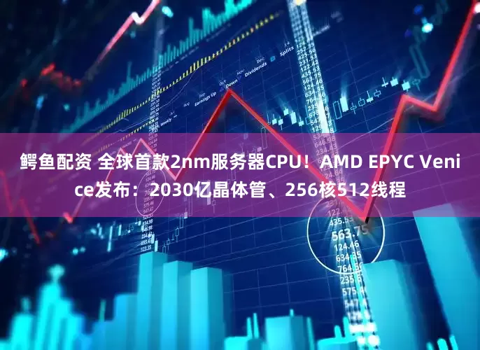 鳄鱼配资 全球首款2nm服务器CPU！AMD EPYC Venice发布：2030亿晶体管、256核512线程